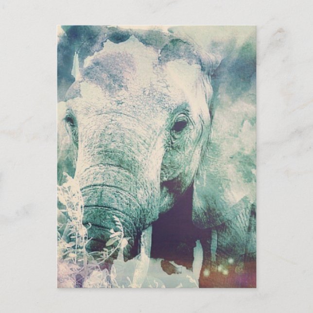 Postal Elefante (Anverso)