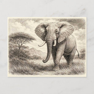 Postal Elefante africano. Coleccionable