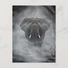 Postal Elefante africano en niebla brumosa serena impasto