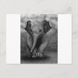 Postal Elefante bebé