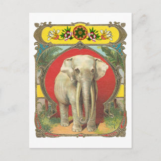 Postal Elefante blanco
