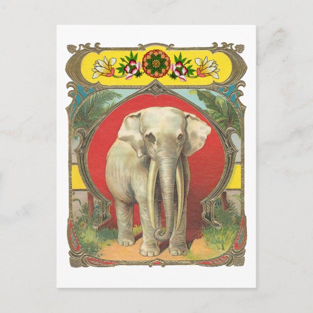 Postal Elefante blanco (Anverso)