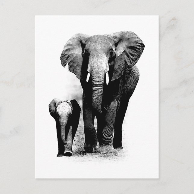 Postal Elefante BW y elefante bebé (Anverso)