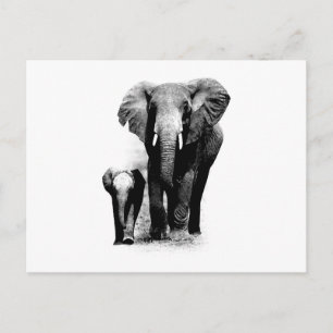 Postal Elefante BW y elefante bebé