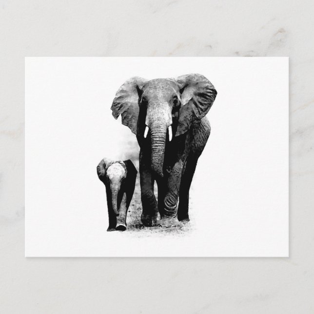 Postal Elefante BW y elefante bebé (Anverso)