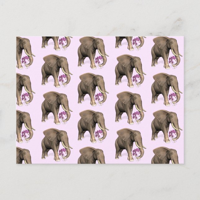 Postal Elefante Con Orquídea Rosa (Anverso)