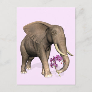 Postal Elefante con orquídea rosa