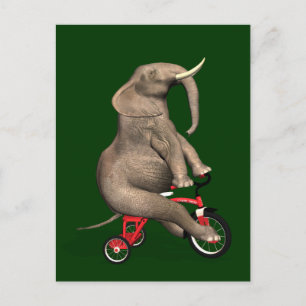 Postal Elefante Cuto Montando Un Triciclo