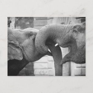 Postal Elefante de amor negro y blanco