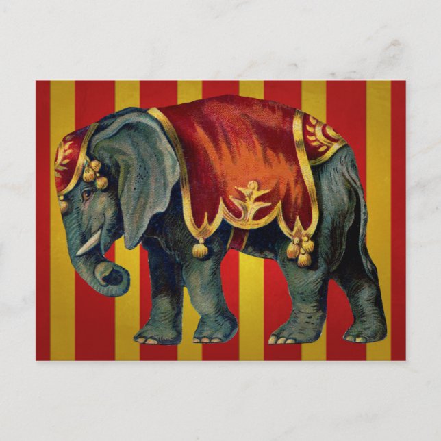 Postal elefante de circo vintage (Anverso)