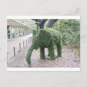 Postal Elefante del árbol