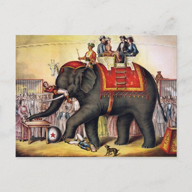 Postal Elefante del circo del vintage (Anverso)