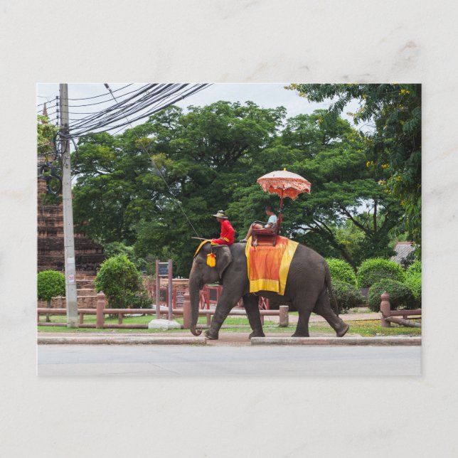 Postal Elefante en Ayutthaya Tailandia (Anverso)