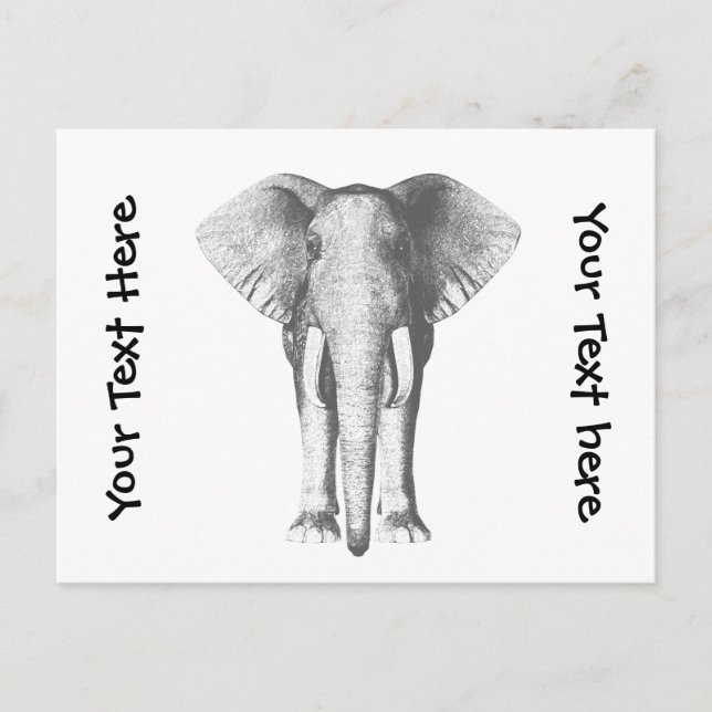 Postal Elefante en blanco y negro (Anverso)