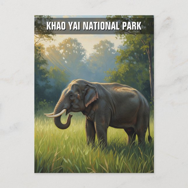 Postal Elefante en el Parque Nacional Khao Yai en Tailand (Anverso)