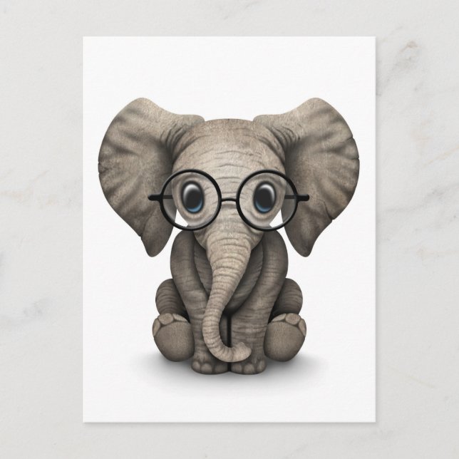 Postal Elefante lindo bebé con lentes de lectura blanco (Anverso)