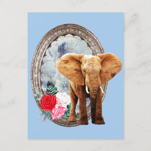 Postal Elefante, Rosas Y Marco