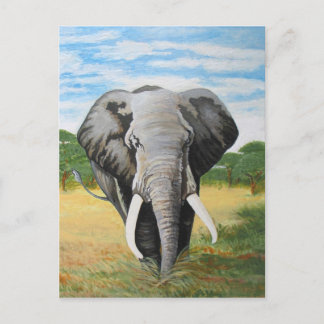 Postal Elefante salvaje