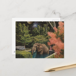 Postal Elefante surrealmente hermoso en la piscina