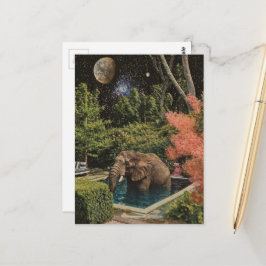 Postal Elefante surrealmente hermoso en la piscina