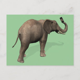 Postal Elefante tomando un selfie