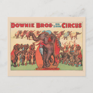 Postal Elefantes actuando con mujeres y entrenador.