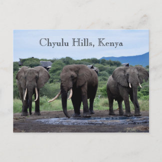 Postal Elefantes Africanos Kenia, Colinas Chyulu