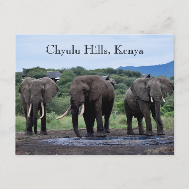 Postal Elefantes Africanos Kenia, Colinas Chyulu (Anverso)