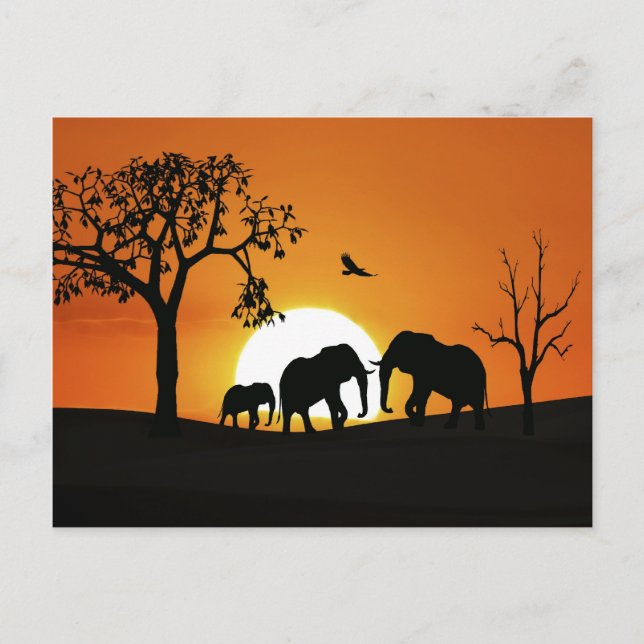 Postal Elefantes al atardecer (Anverso)