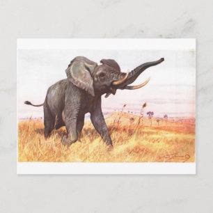 Postal Elefantes animales de la Selva Africana Safari
