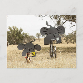 Postal Elefantes en bicicleta