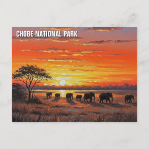 Postal Elefantes en el Parque Nacional Chobe Botsuana