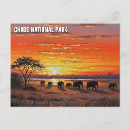 Postal Elefantes en el Parque Nacional Chobe Botsuana