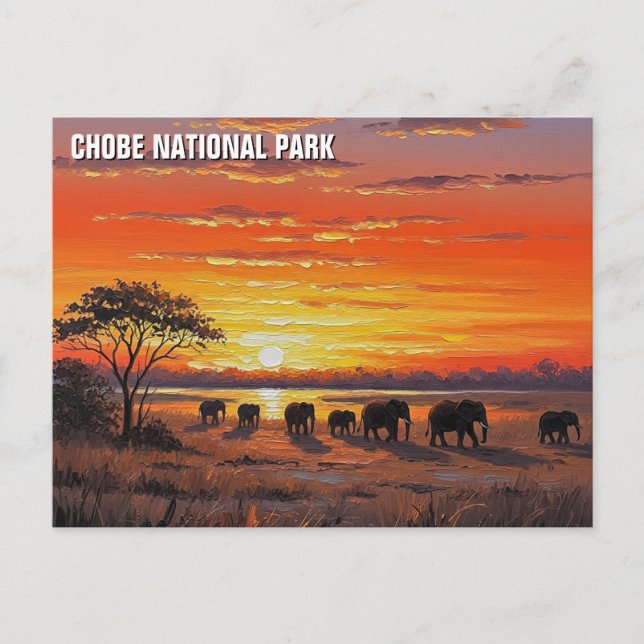 Postal Elefantes en el Parque Nacional Chobe Botsuana (Anverso)