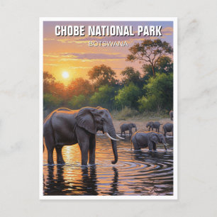 Postal Elefantes en el Parque Nacional Chobe Botsuana