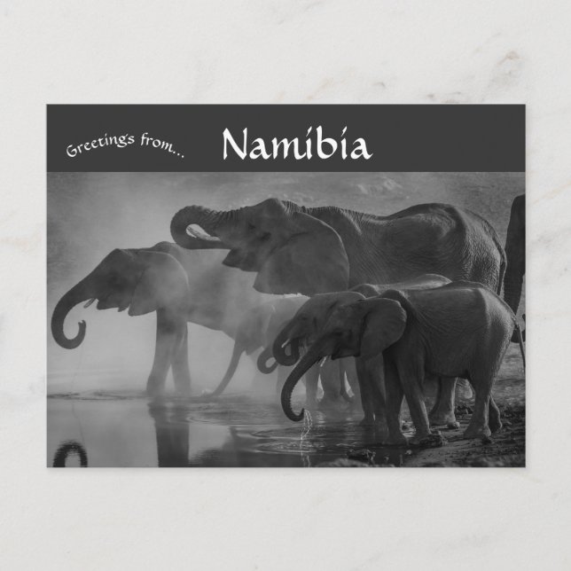 Postal Elefantes en el Parque Nacional Etosha Namibia (Anverso)