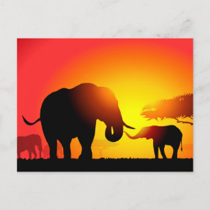 Postal Elefantes maternos e infantiles al atardecer