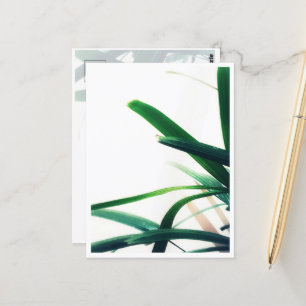 Postal Elegancia verde minimalista