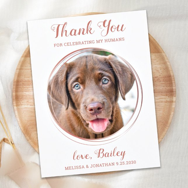 Postal Elegant Rose Gold Pet Dog Wedding Thank You (Subido por el creador)