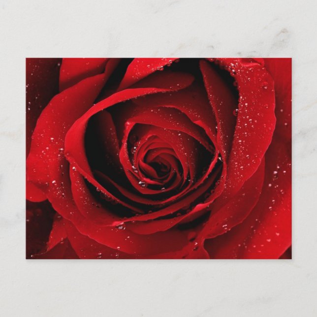 Postal elegante (Anverso)