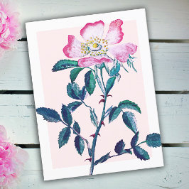 Postal Elegante acuarela Rosa salvaje Flor Día de la Madr