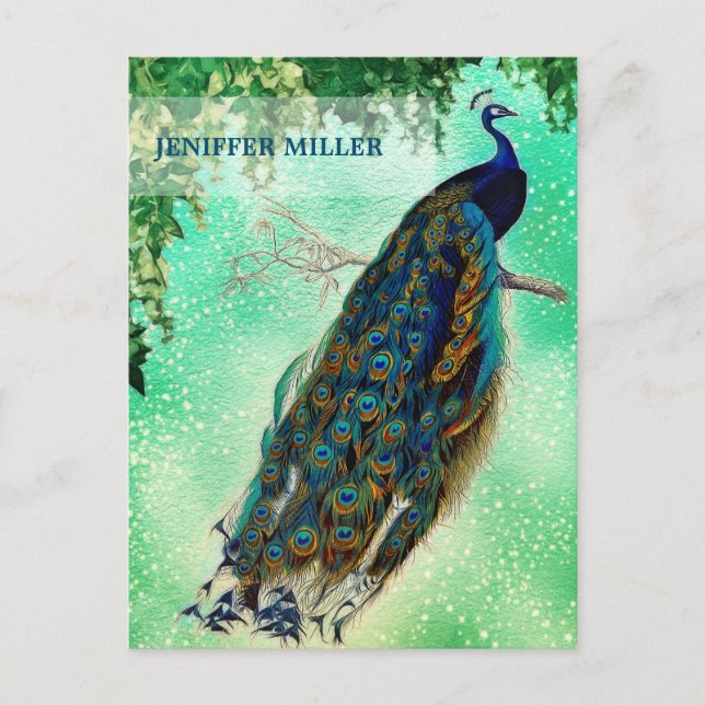 Postal Elegante arte de pavo real (Anverso)