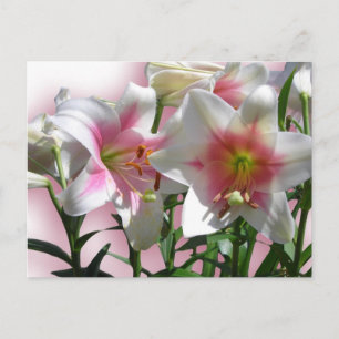 Postal Elegante Boda de Flores Ducha Paz Destino de Amor