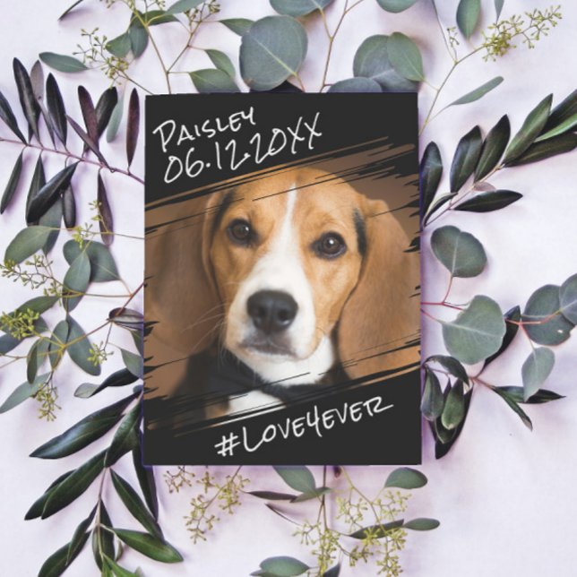 Postal Elegante Chic Moderno Sencillo Recuerdo de Perro N (Subido por el creador)