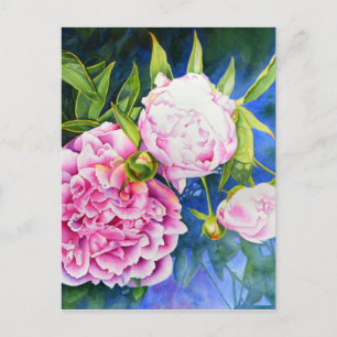 Postal Elegante color de agua clásico blanco rosa floral