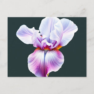 Postal Elegante color de agua Iris Bloom con Petales Deli
