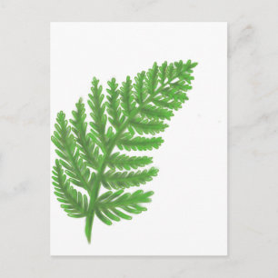Postal Elegante color de agua verde helechos hojas de bos