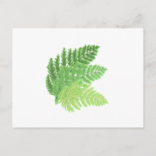 Postal Elegante color de agua verde helechos hojas de bos