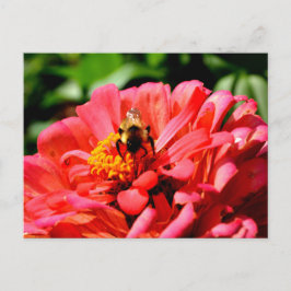 Postal Elegante coral rojo floral adorable abeja de burbu