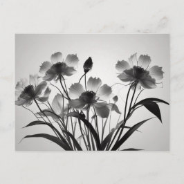 Postal Elegante Cosmos en Flor